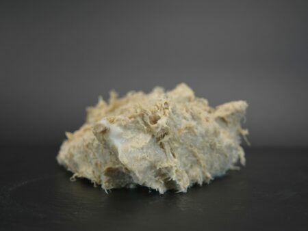 RILLETTES D'OIE - 100 gr